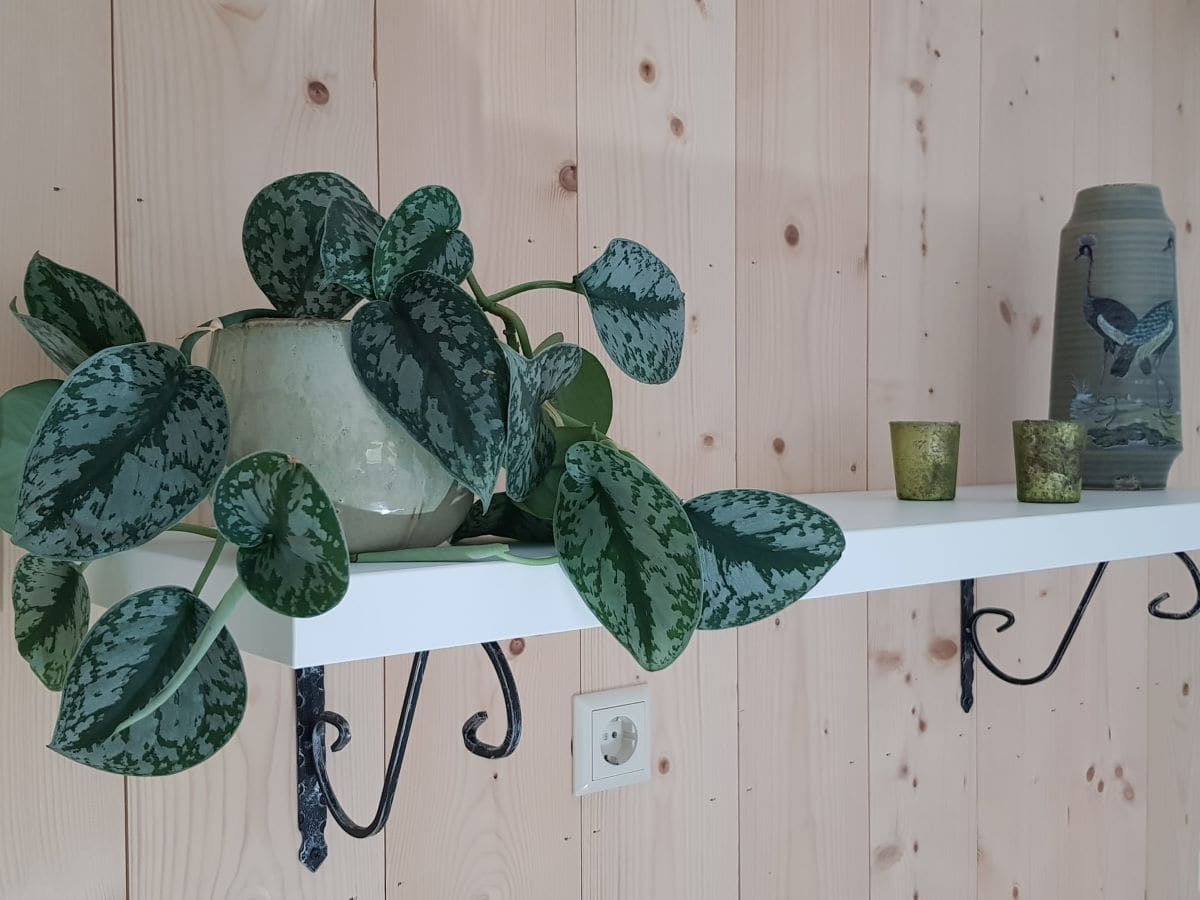 Mygroot - Hangende Planken - Grote Rustieke - Industriële - Pijp Muur Drijvende Plank Houten Stellingen Unit 60x15x51 5cm Mygroot - Hangende Planken - Grote Rustieke - Industriële - Pijp Muur Drijvende Plank Houten Stellingen Unit 60x15x51 5cm